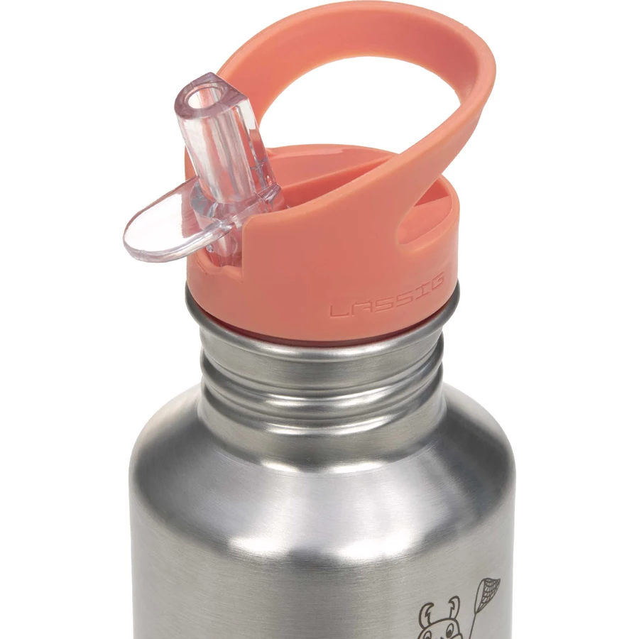 LÄSSIG Trinkflasche aus Edelstahl, Nature 500 ml