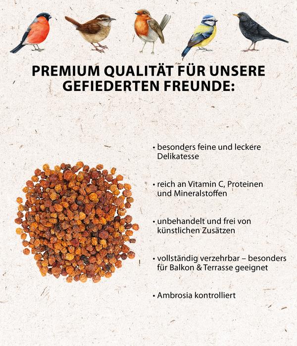 Dehner Natura Premium Wildvogelfutter