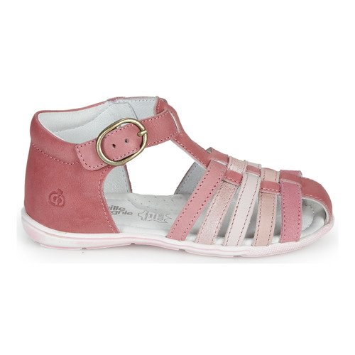 Citrouille et Compagnie - RINE - Rose / Multicolore