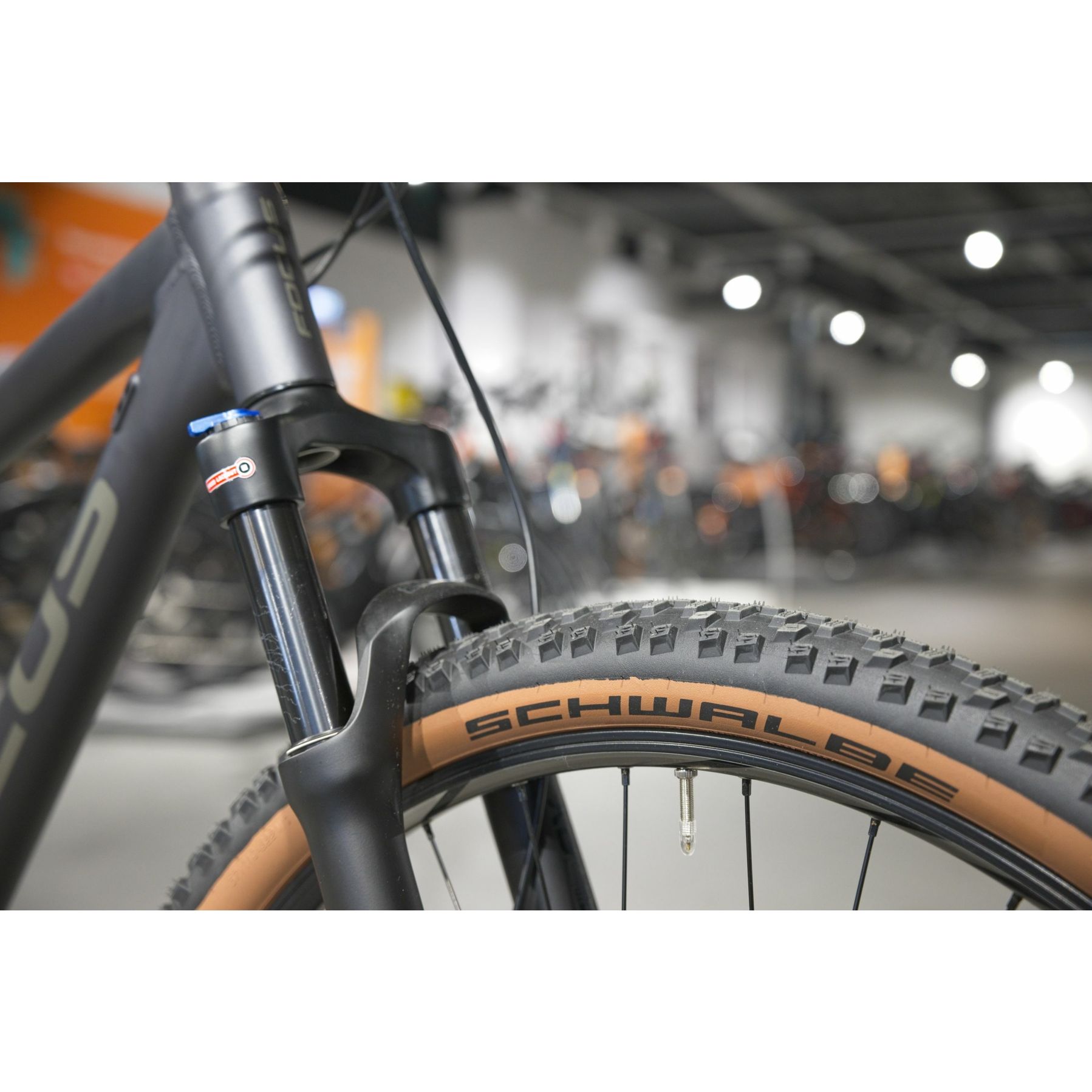 Focus Whistler 3.9 2025