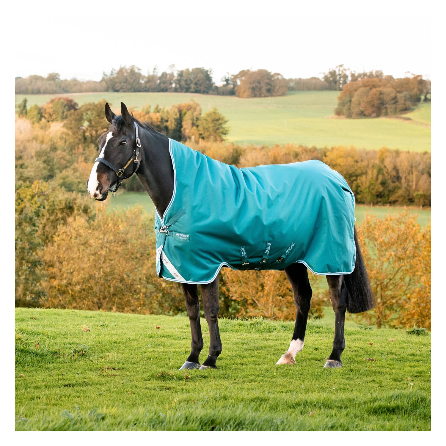 Horseware Outdoordecke AMIGO Bravo 12 Wug Medium - storm green
