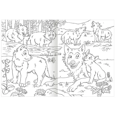ars Edition Das superdicke Malbuch – Tiere