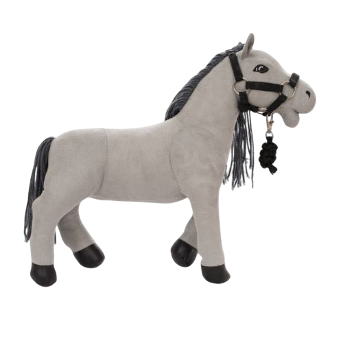 Mini-Pferd Lucky Grau