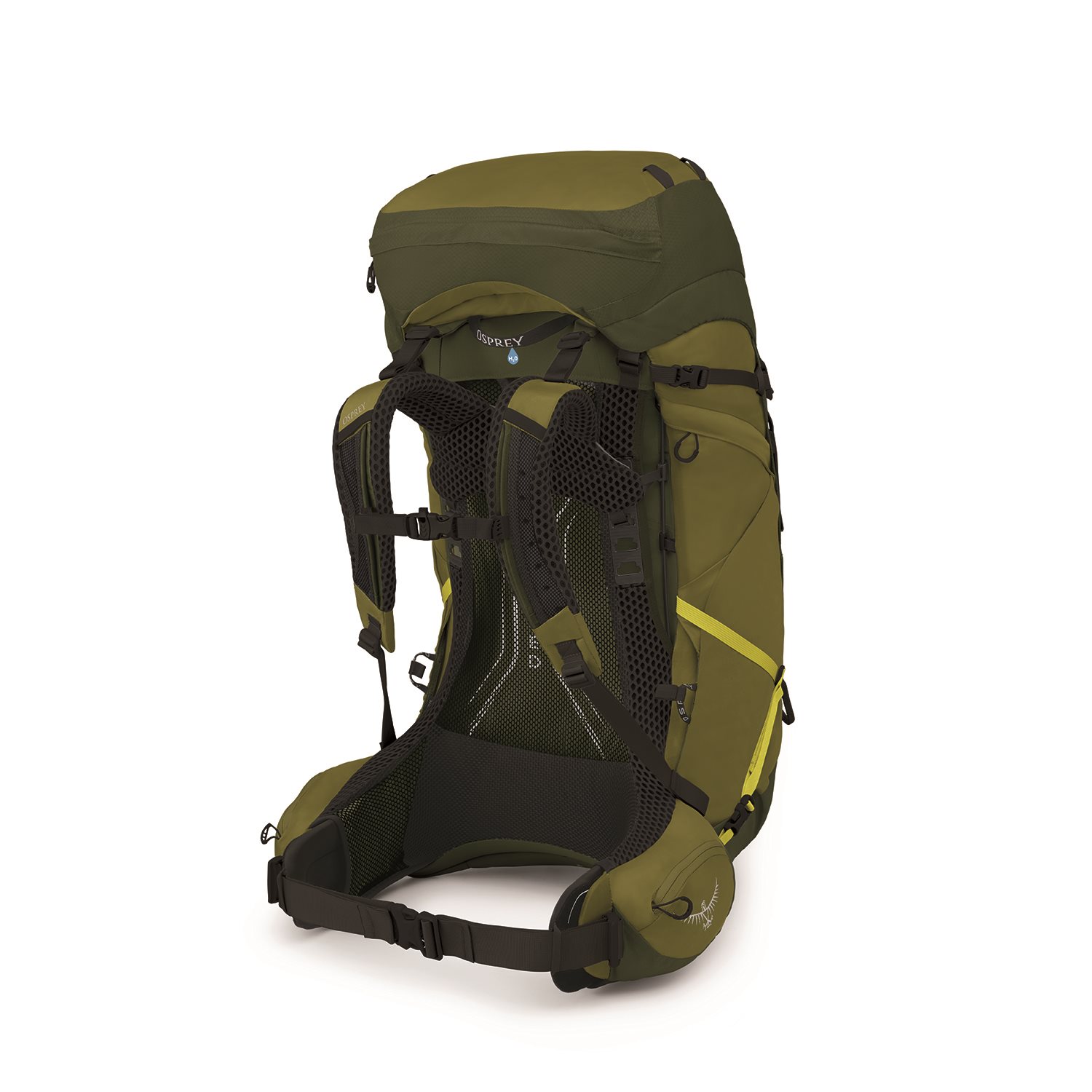 Osprey Atmos AG LT 65 L/XL scenic valley/green peppercorn