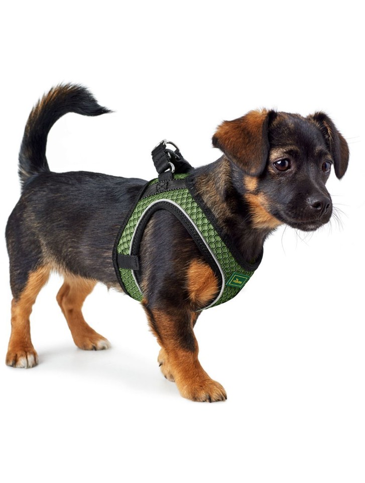 Hunter - Hundesele Hilo Comfort 65-70/M-L, grøn