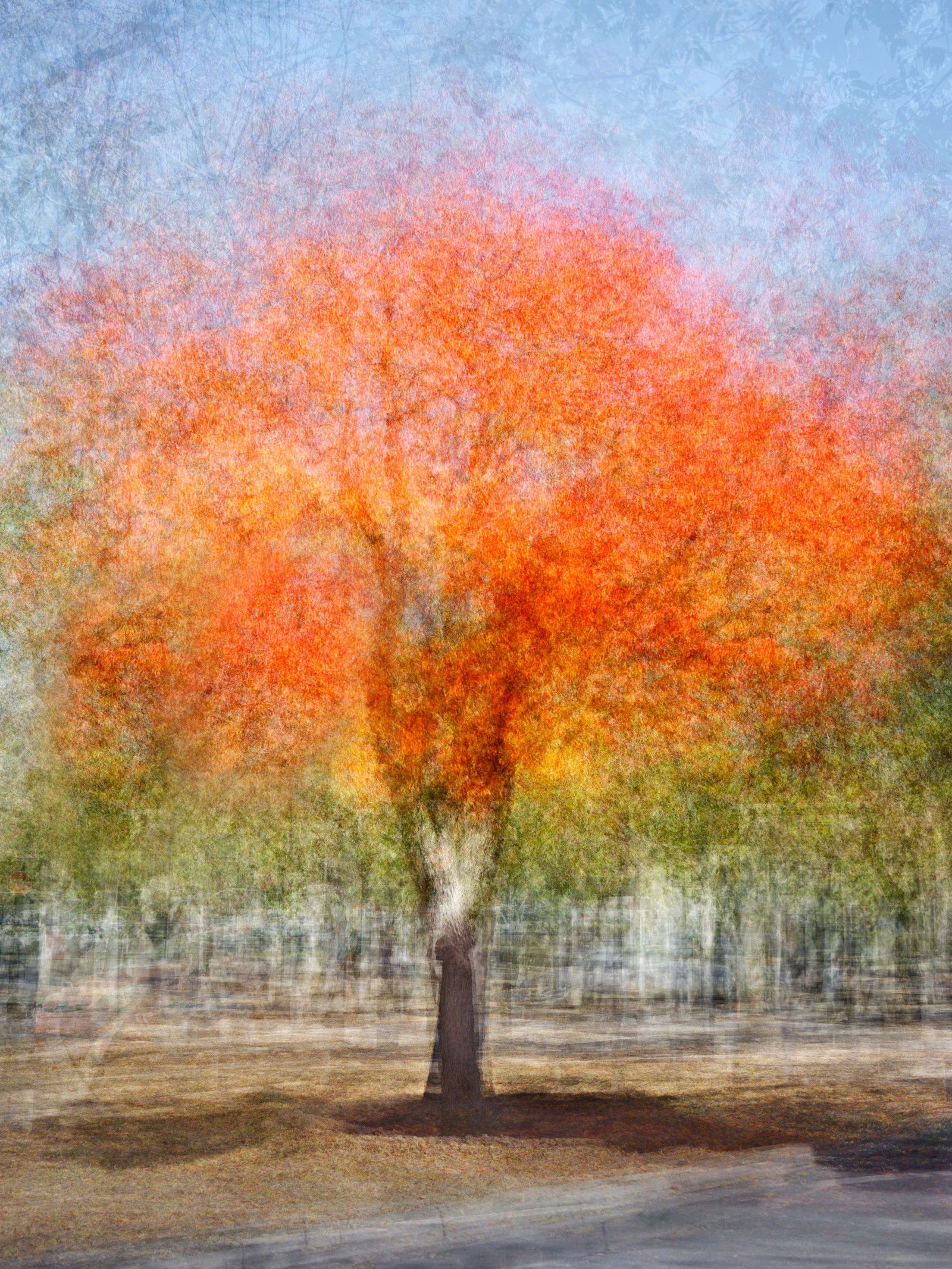 Stanford, One by Pep Ventosa - Limited Edition. Edition of: 150. Signed.
