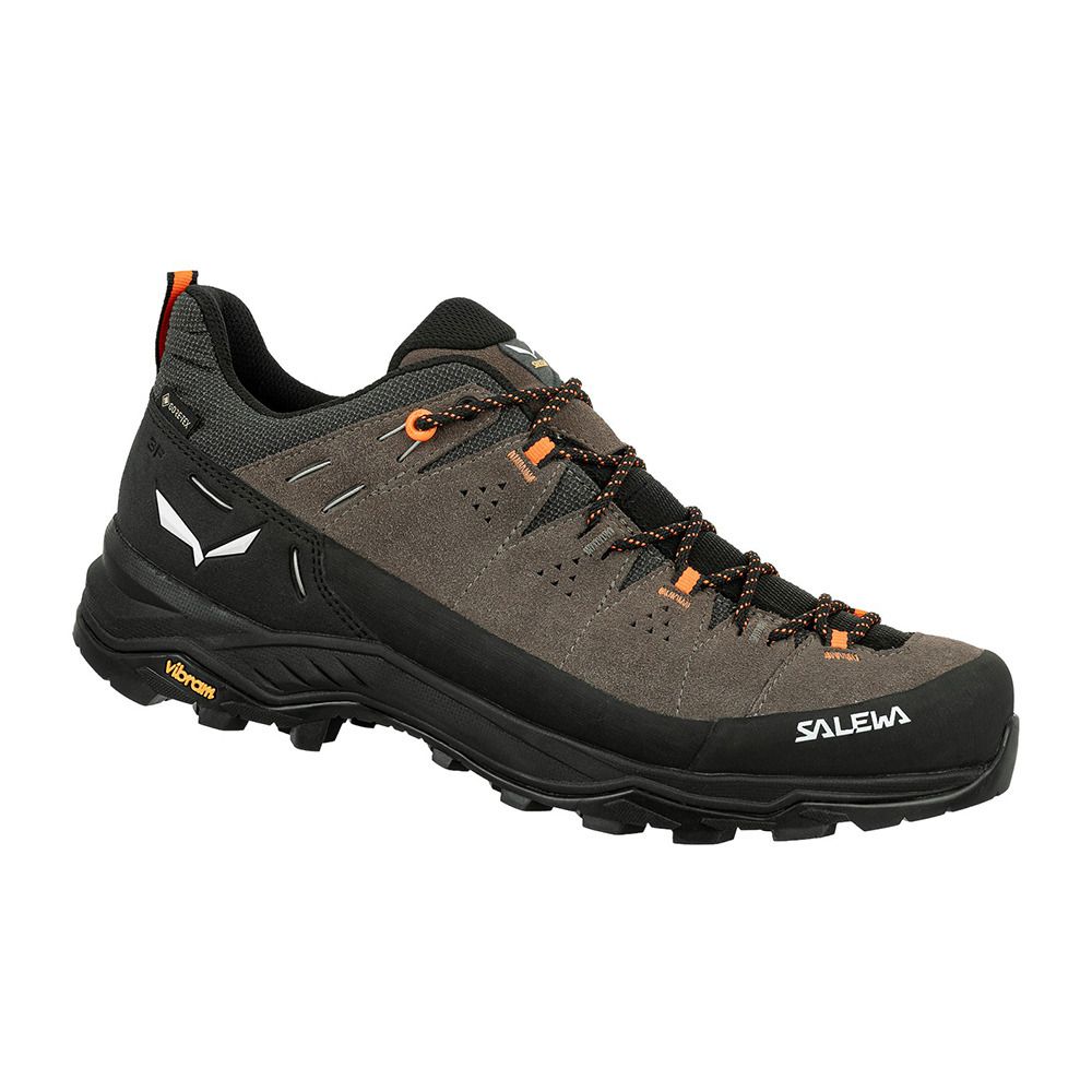 Salewa ALP TRAINER 2 GTX - Chaussures randonné Homme bungee cord/black