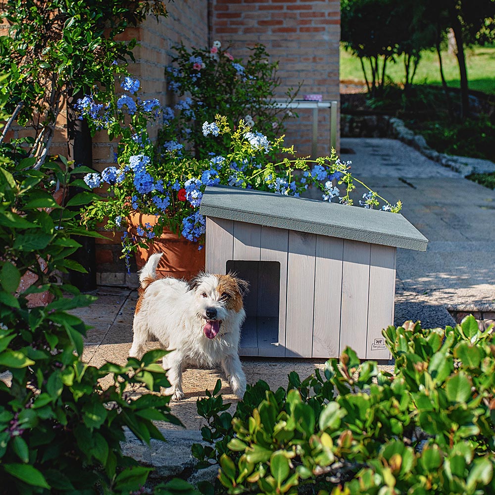 Niche pour extérieur, maison pour chiens argo 60 en bois fsc avec vernis atoxique, résistant aux u.v.