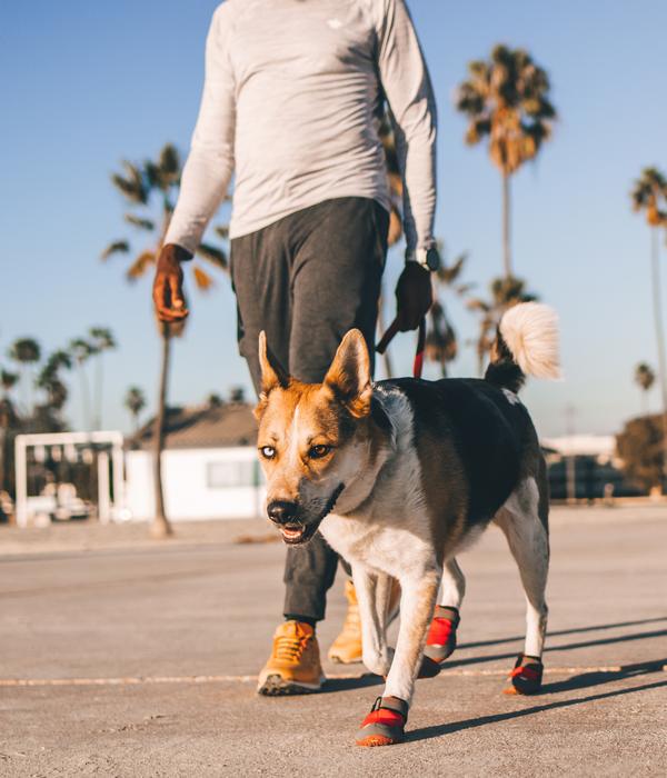 RUFFWEAR® Pfotenschutzschuh Grip Trex™, 2er