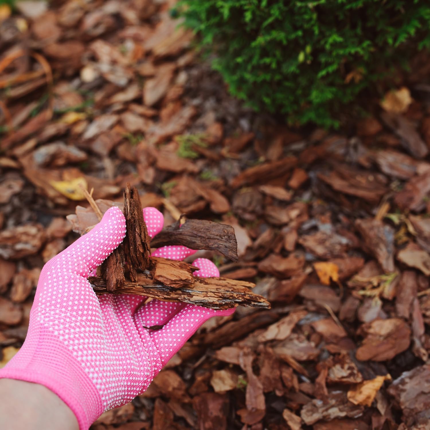 GALAMIO Kiefernrinde Kiefernmulch Rindenmulch Rinde Mulch Garten Dekor Pinus Sylvestris Natur Wald Kiefer Mittel 10-40mm 60l x 13 Sack 780l / 1 Palette