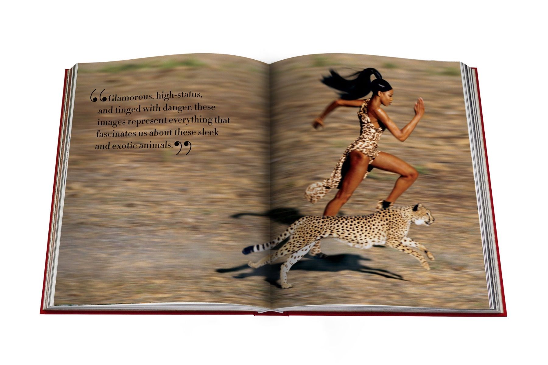 Assouline Cartier Panthère
