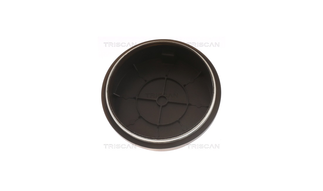 ABS sensor