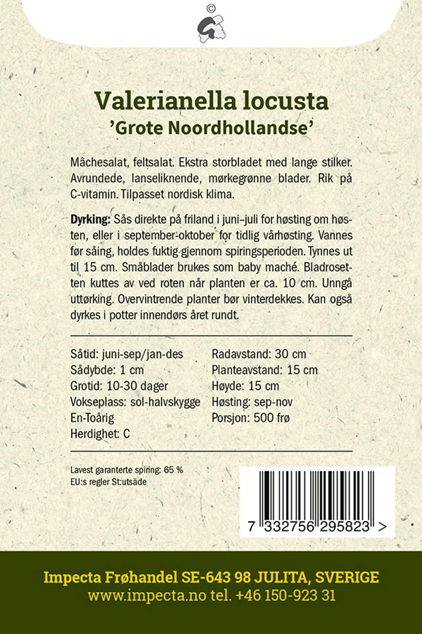 Valerianella locusta 'Grote Noordhollandse' Vårsalat 'Grote Noordhollandse'