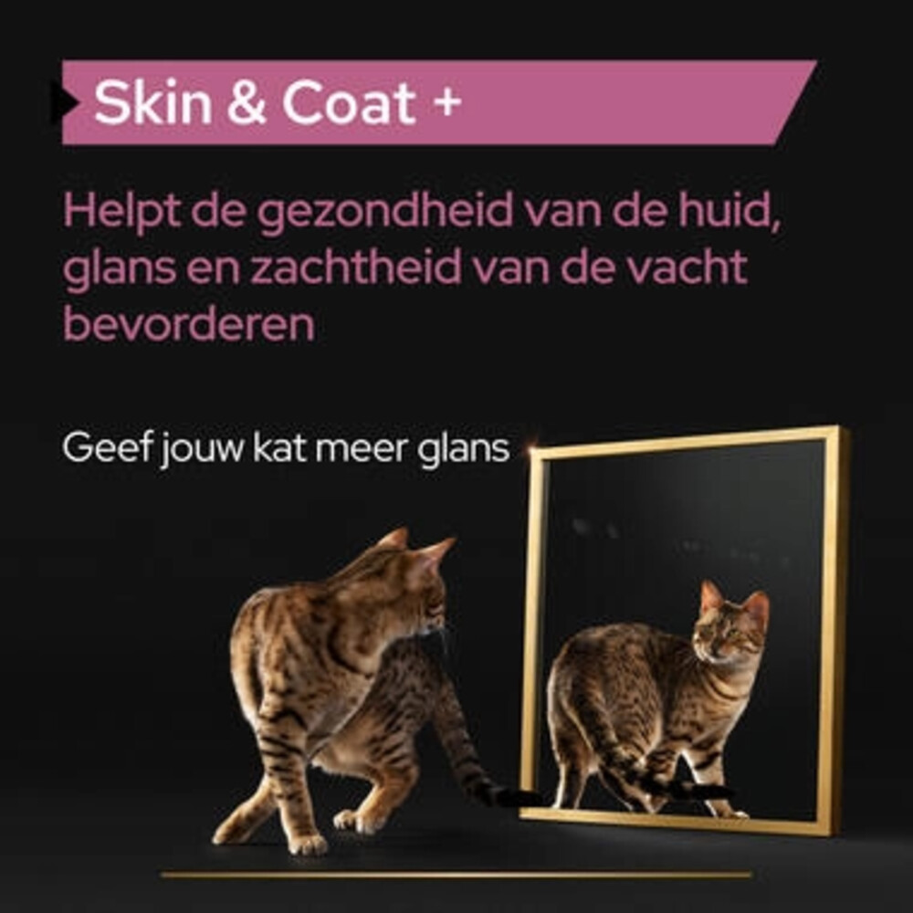 Pro Plan Supplement Olie voor Katten Skin & Coat150 gr