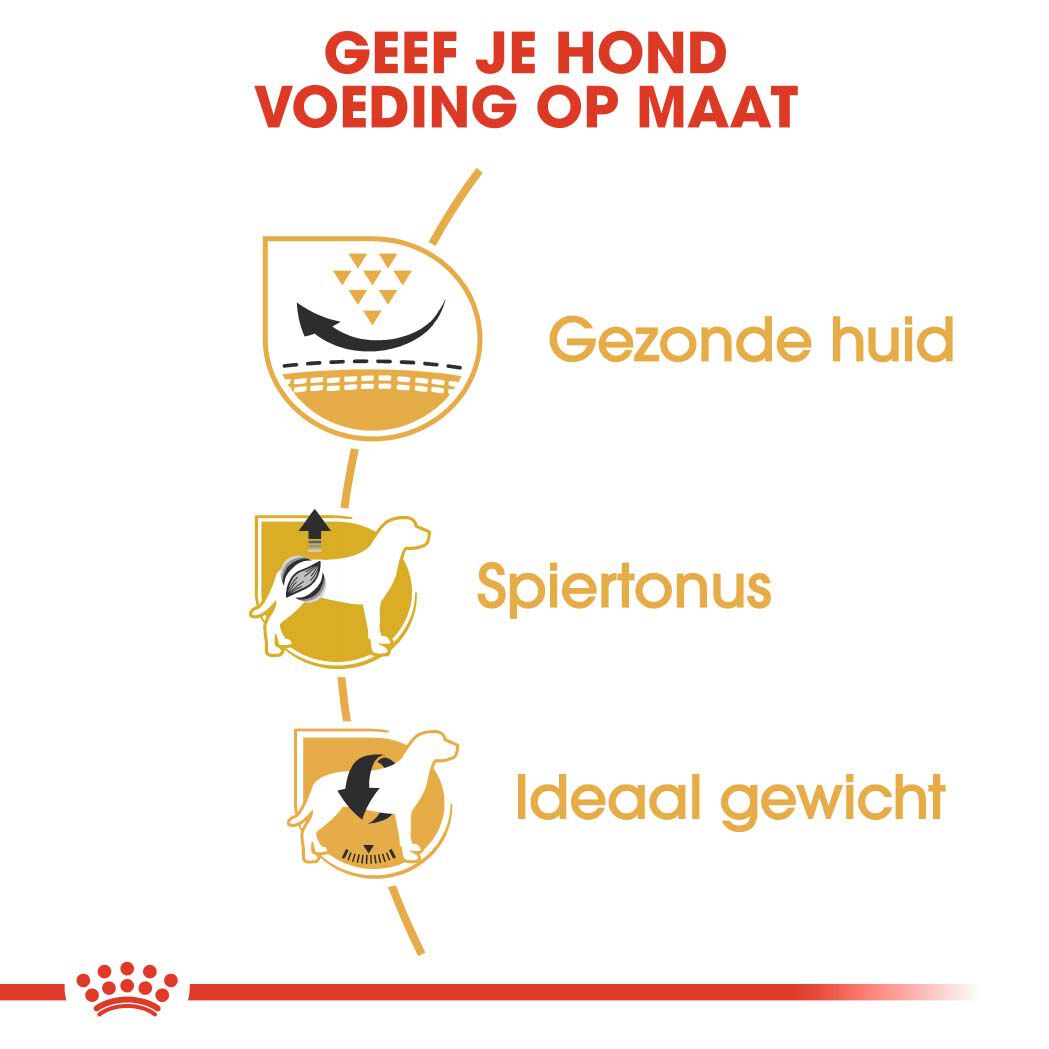 Royal Canin Mopshond Adult - Hondenvoer - 1.5 Kilogram - gevogelte