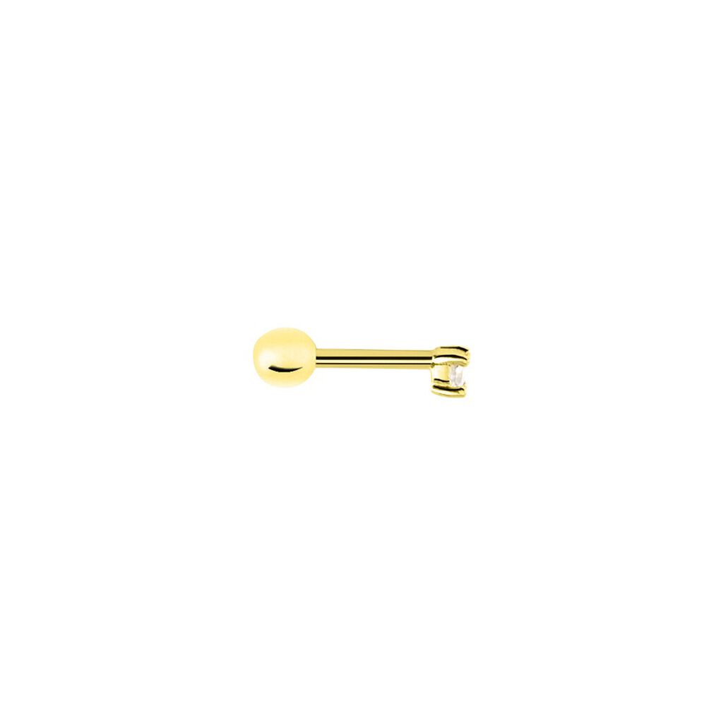 Piercing Androsace Or Jaune Oxyde