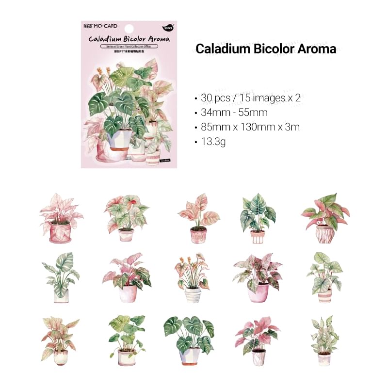 Milena - Plant PET-sticker (verschillende ontwerpen)