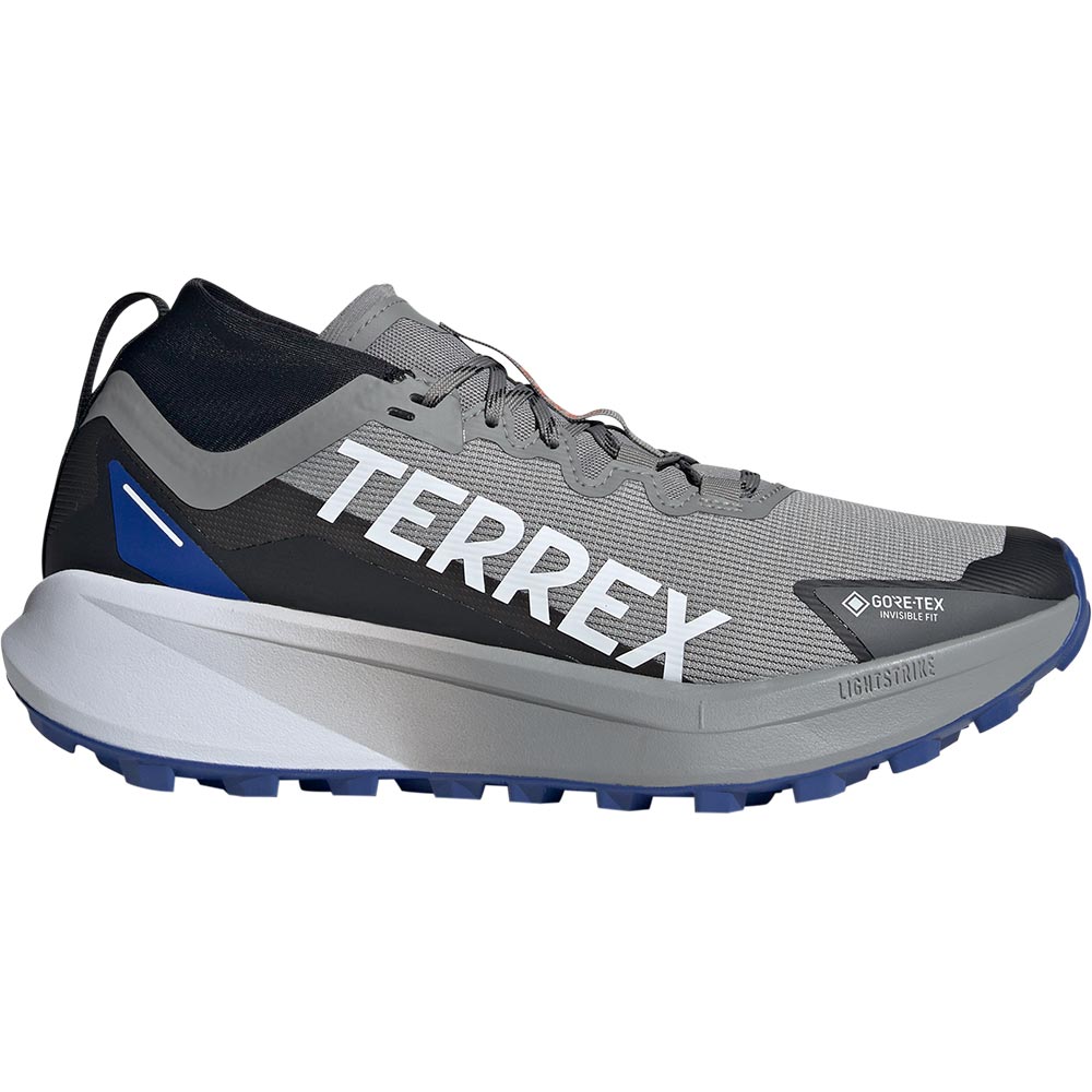 adidas TERREX Terrex Agravic GTX Trailrunning Schuhe Herren charcoal solid grey