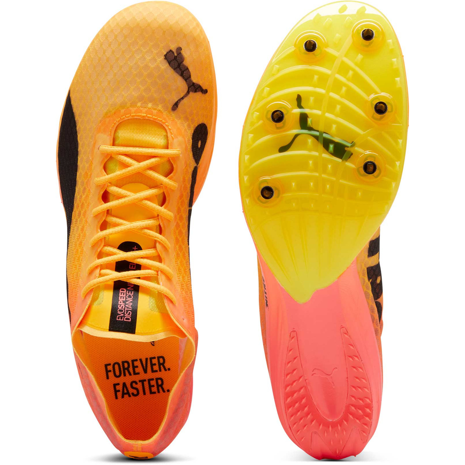 PUMA evoSPEED Distance Nitro Elite+ 4