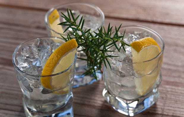 Gin-Tasting in Wien als Geschenkidee