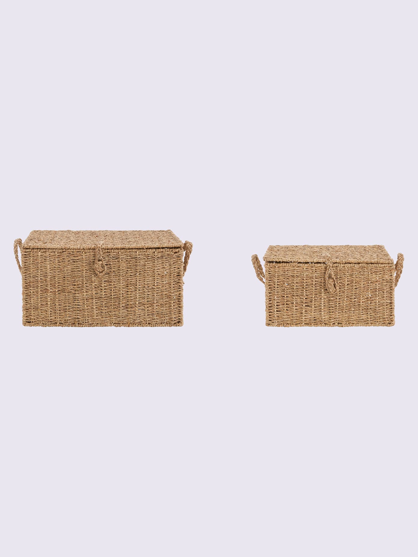 Boîte de rangement algue tressée