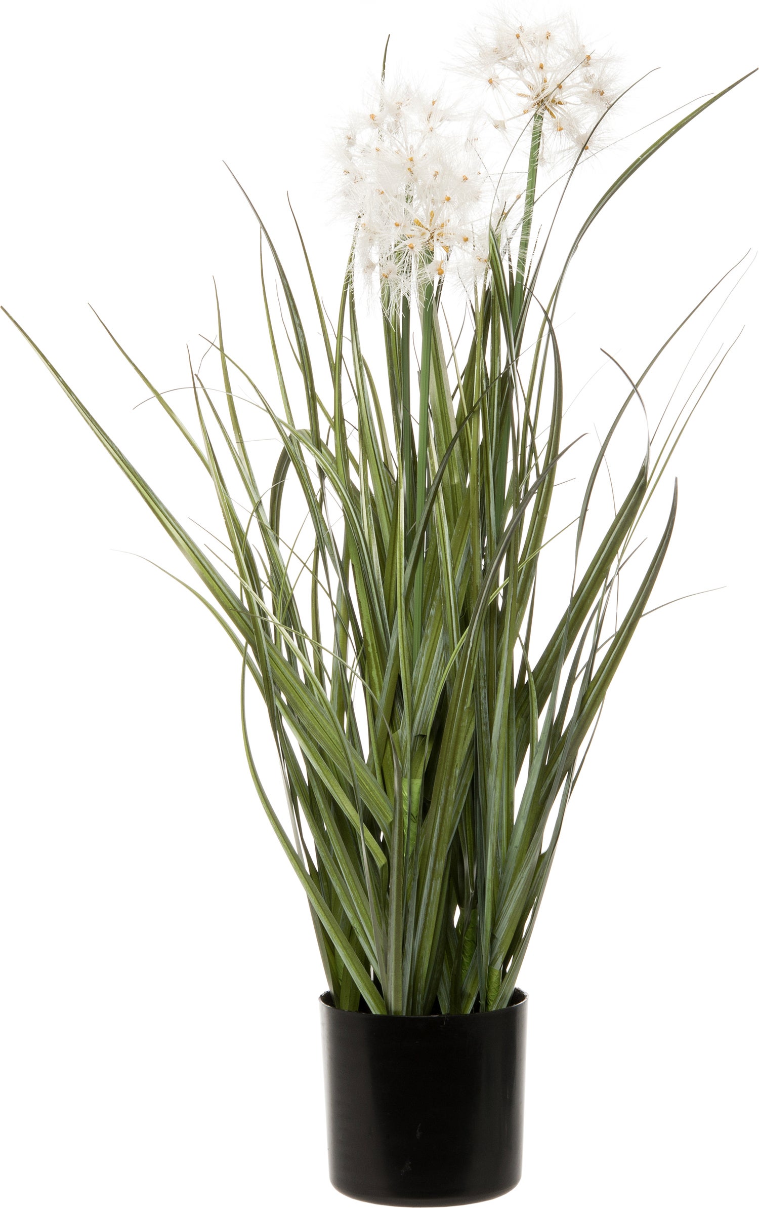Intratuin kunstplant Pampusgras D 37 H 60 cm