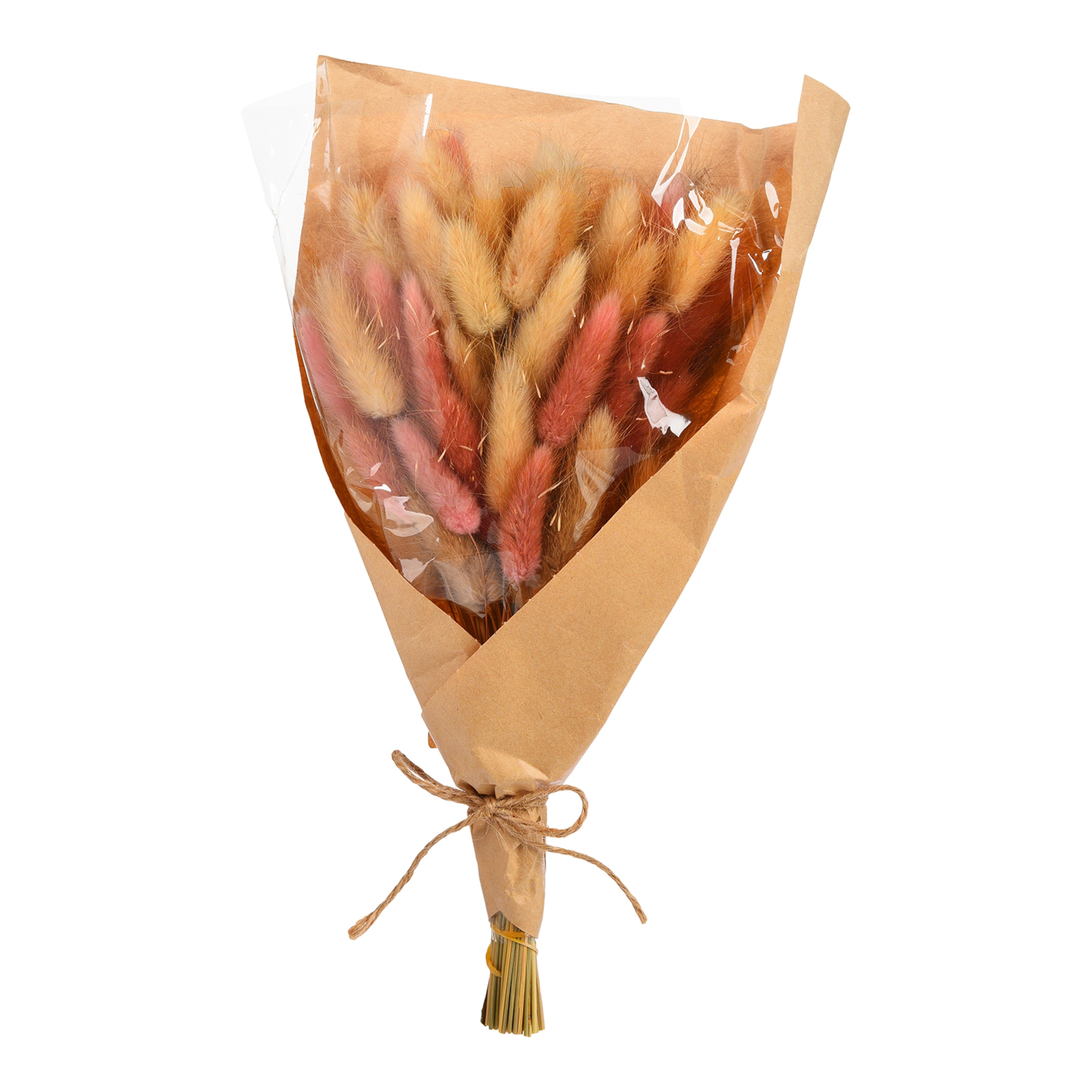 beere, L 28 cm