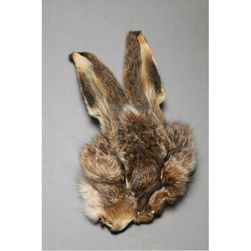 Masque De Lievre Fly Scene Hare's Mask