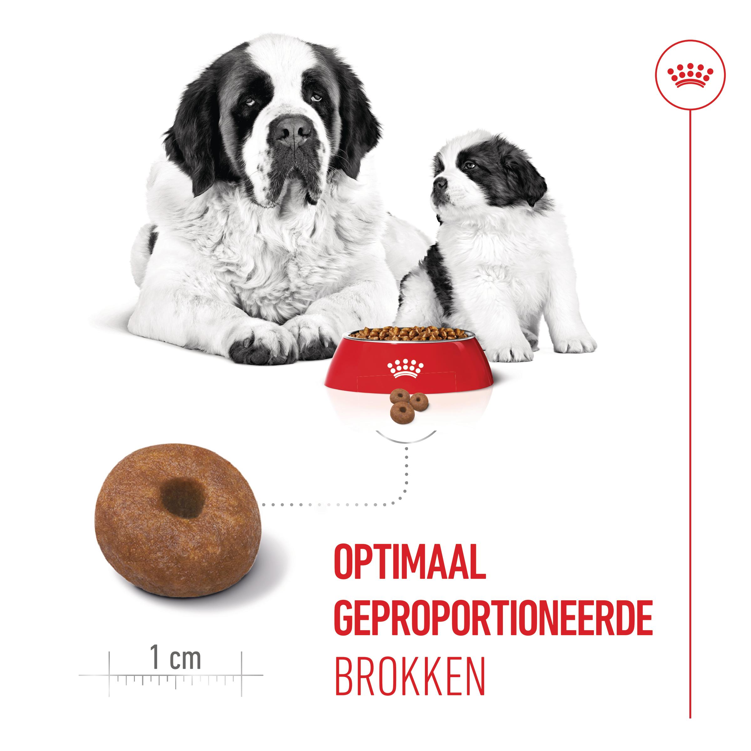 Royal Canin Giant Starter Mother & Babydog - Hondenvoer