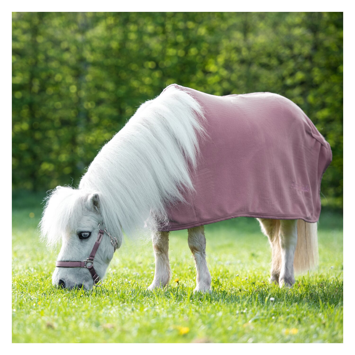 Horse-friends Abschwitzdecke - smokeberry