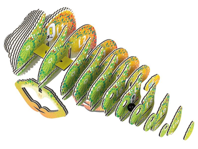 Eugy Bastelset 3D Chamäleon Einzigartige und nachhaltige Mini-Tierfigur