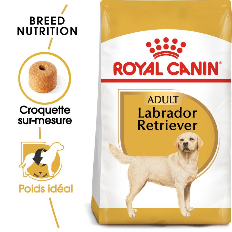 Royal Canin Labrador Retriever Adult à prix discount sur bitiba.fr
