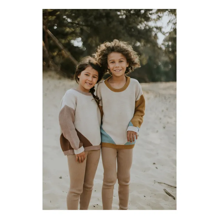 Yuki Pull Chunky Coton Bio Color Block | Marron