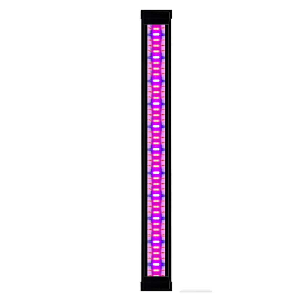 LED Plants Emotions CLE 60 Zwart