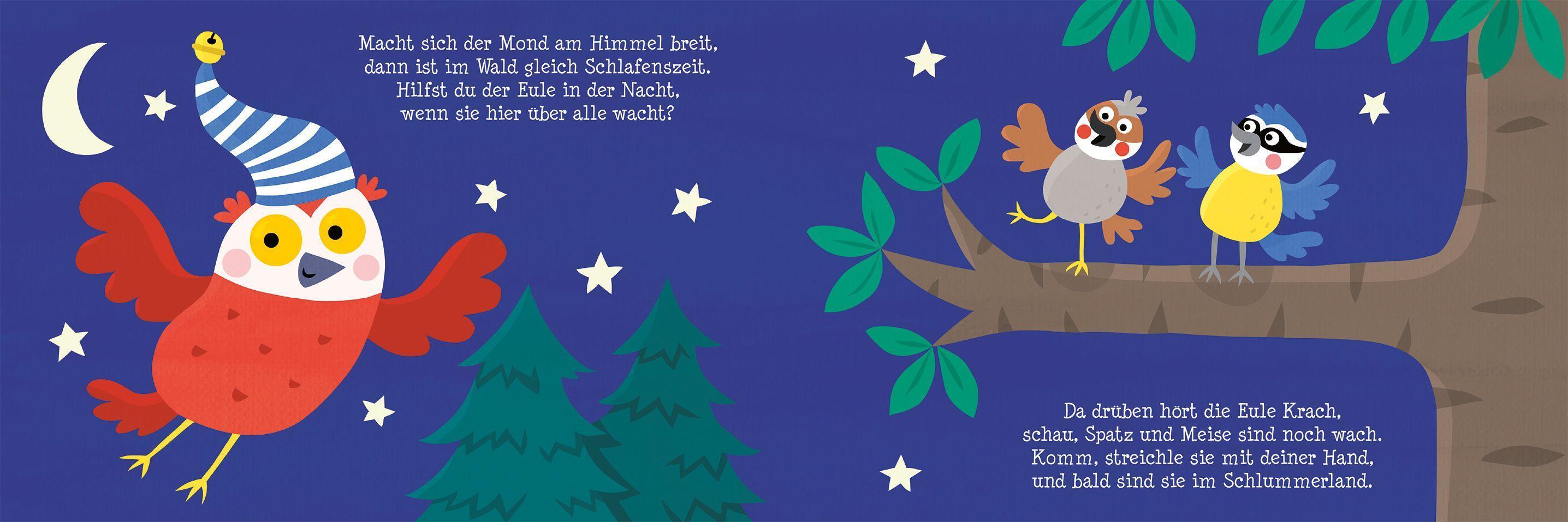 Alles schläft in tiefer Nacht, nur die liebe Eule wacht