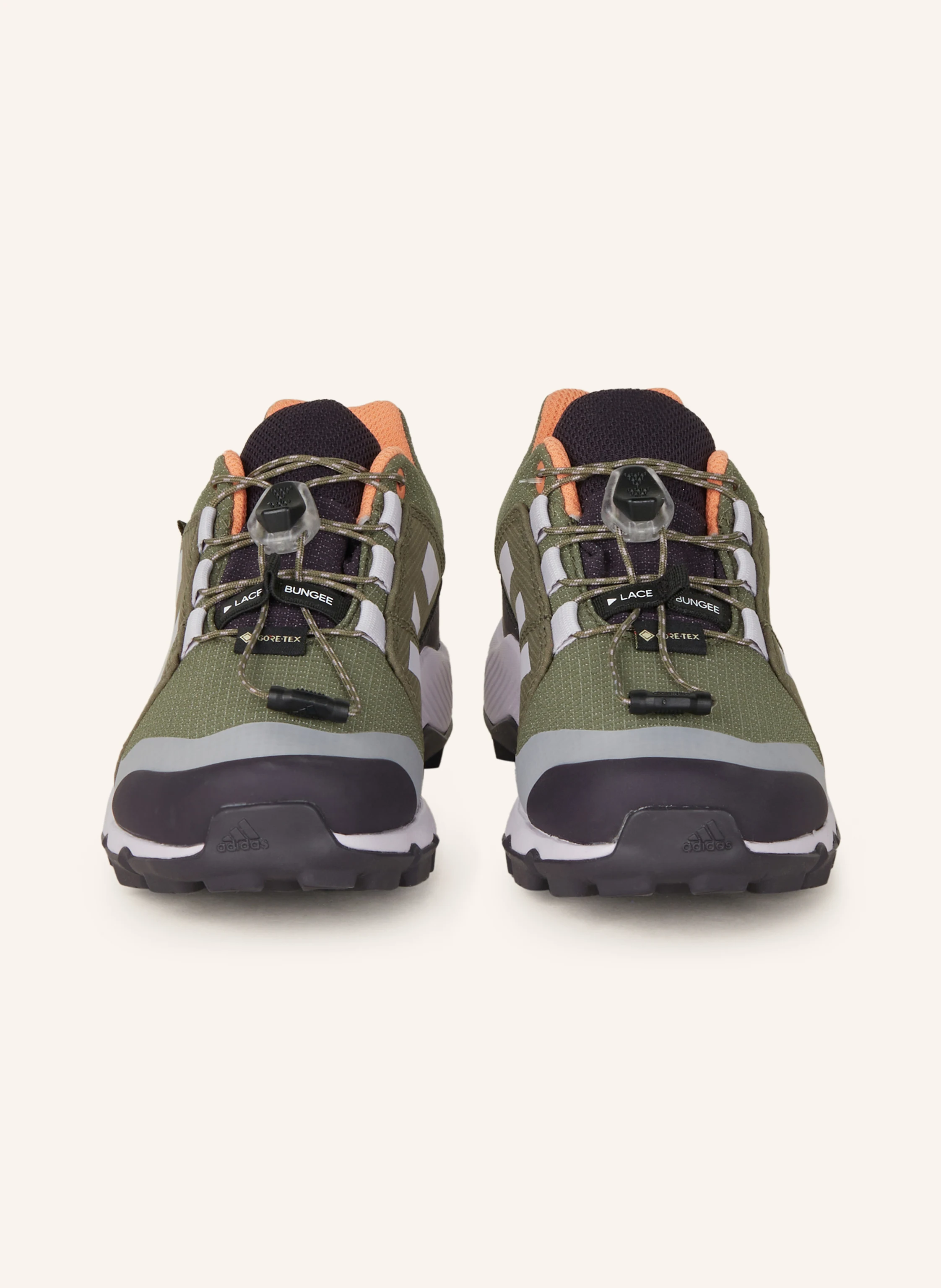 adidas TERREX Wanderschuhe TERREX GTX