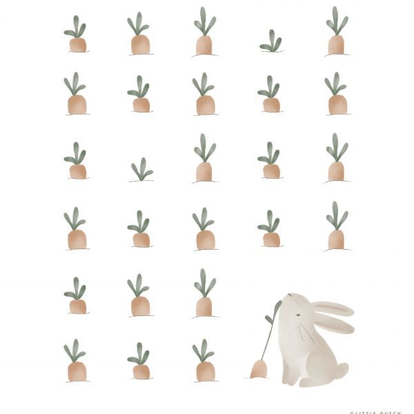 Little Dutch Baby Bunny Poster
