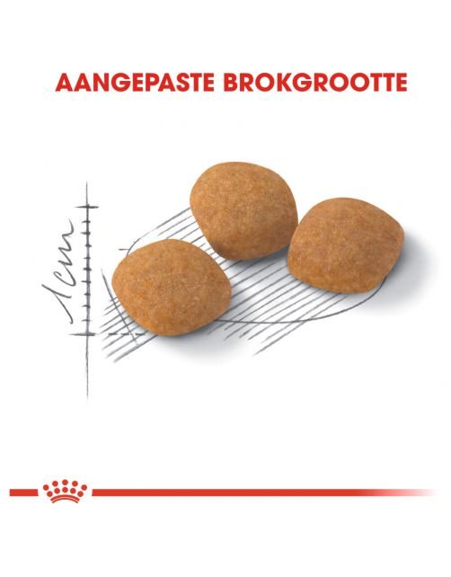 Royal Canin Protein Exigent - Kattenvoer