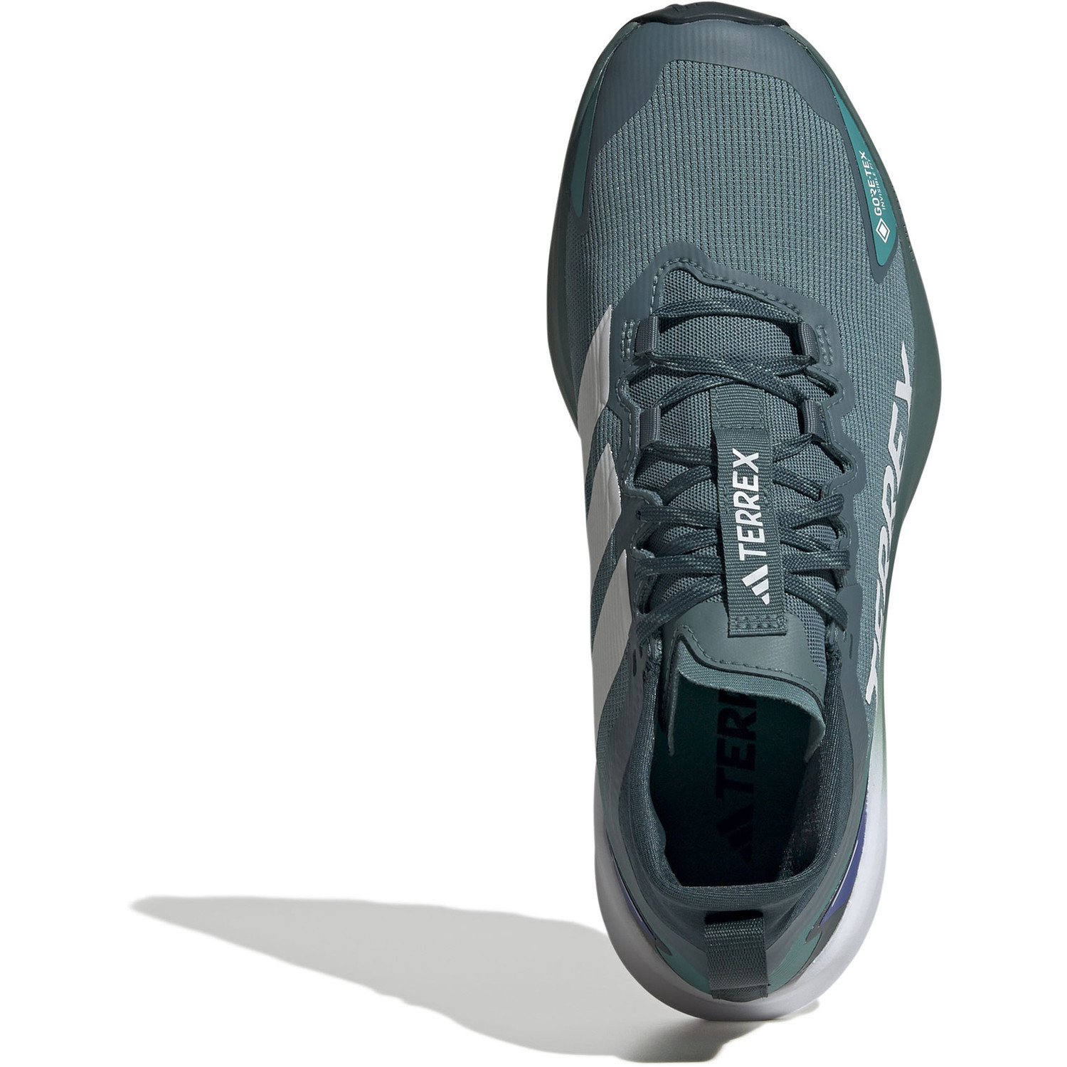 adidas Terrex Agravic GTX Heren