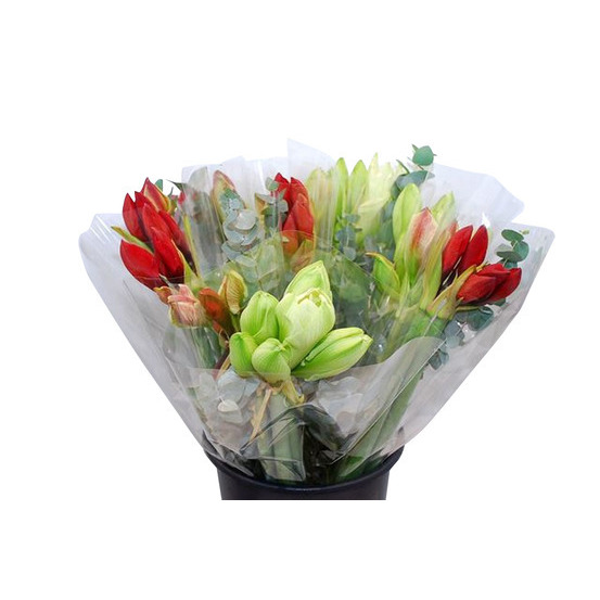 Botte de 3 tiges d'Amaryllis H.60cm