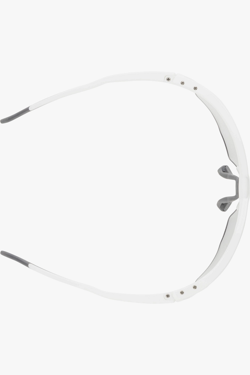 ALPINA Twist Six s HR V Sportbrille