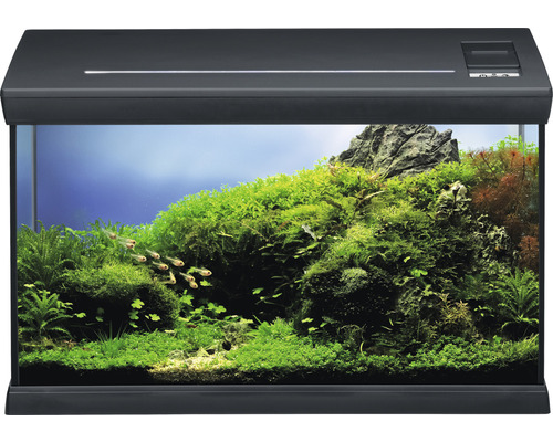 EHEIM aquaclass 66 aquarium inclusief verlichting, verwarming, filter, thermometer, 60,7 x 31 x 35 cm, antraciet
