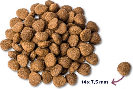 Renske Super Premium droogvoeding verse kalkoen met eend 12 kg