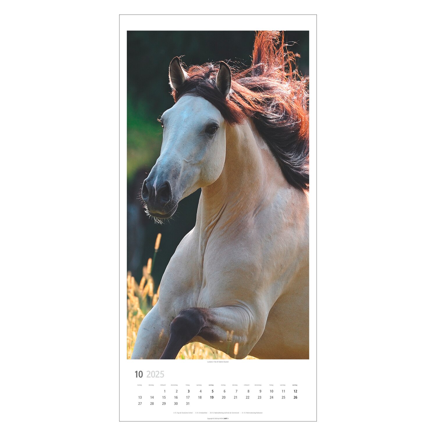 Kalender Pferde 2025