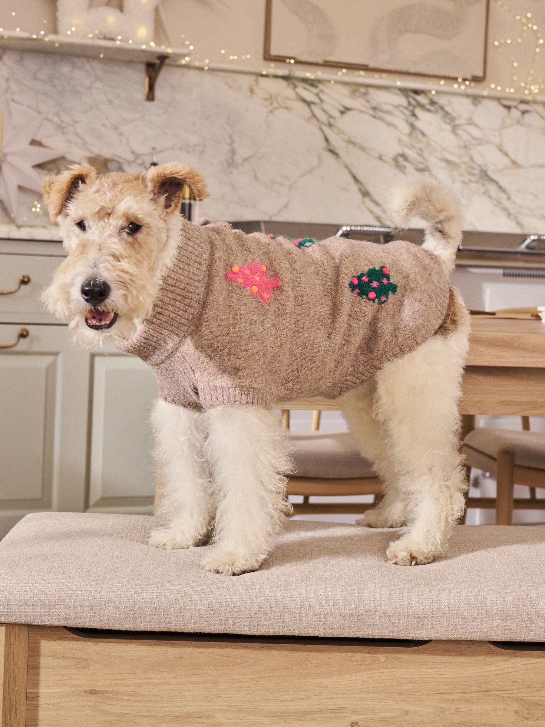 Neutral Bright Tree - Matching Family Christmas Knitted Dog Jumper