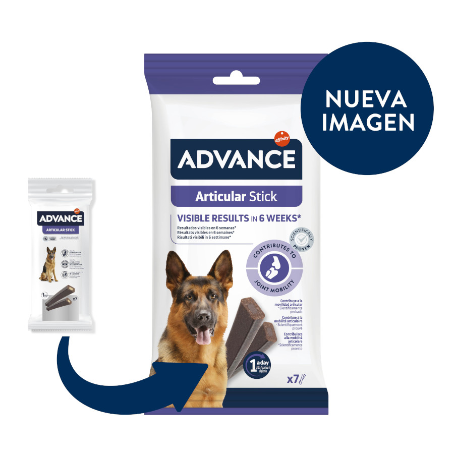 Bastão articular avançado para cães