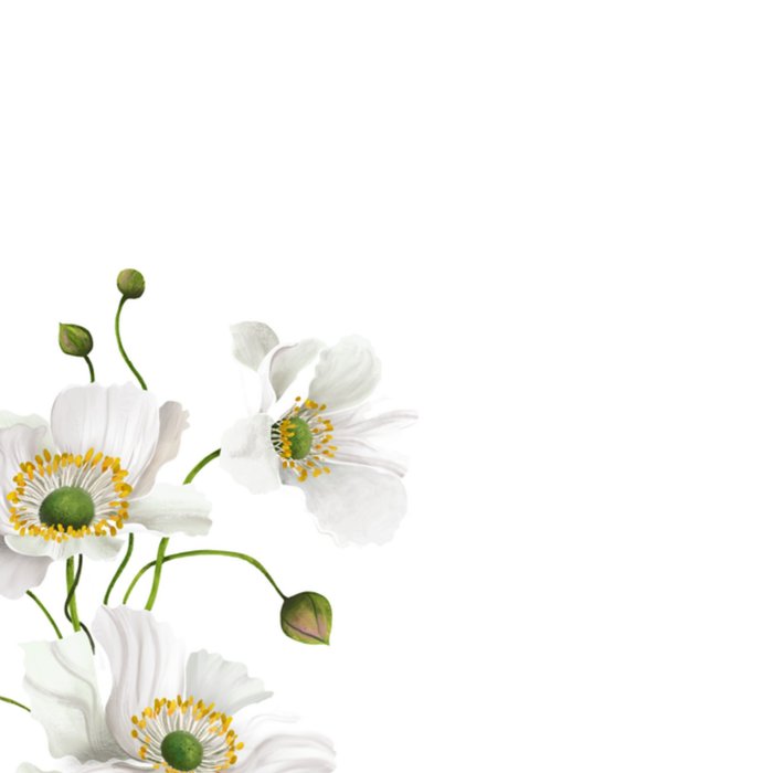 Patricia Hooning | Condoleancekaart | Bloemen