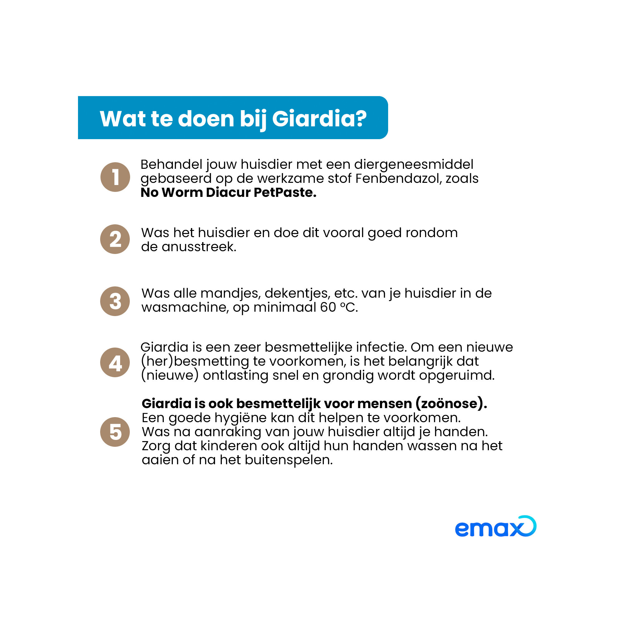 No Worm Diacur Giardiatest