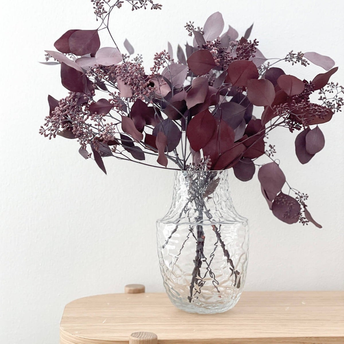 Eucalyptus populus met bessen | bosje