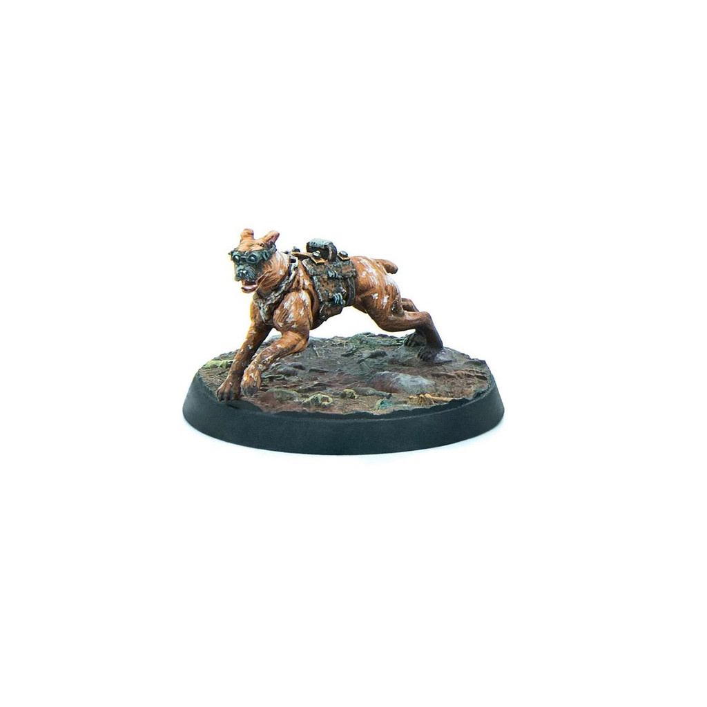 Fallout: Wasteland Warfare - Raiders - Pack Top Dogs